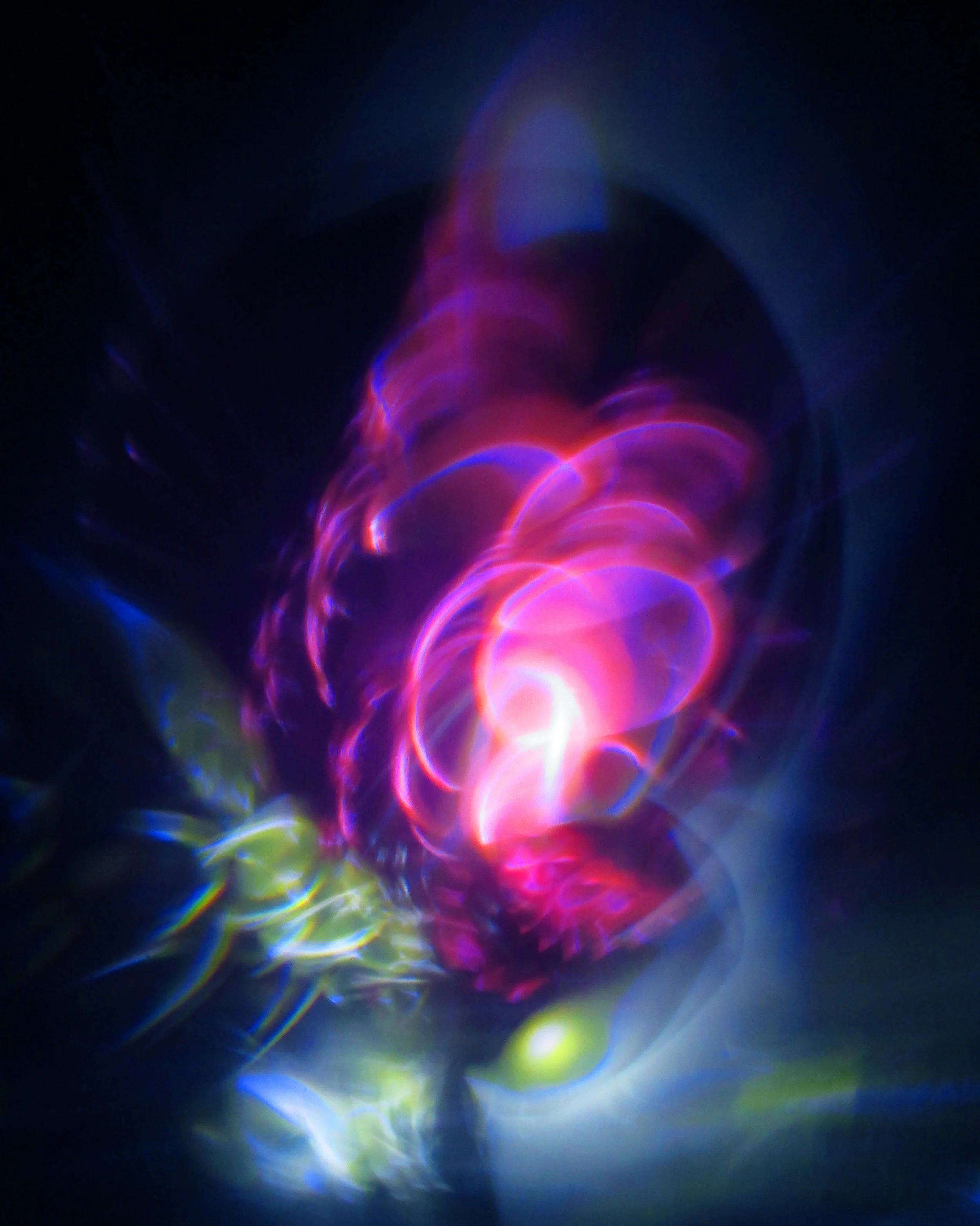 Reef Riser