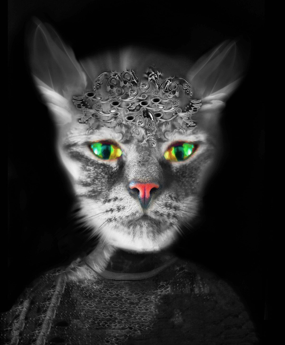 A Cat's Mind, Daguerre
(Cat # 12)
digital photograph
24 x 16 inches
or dimensions variable
&copy; Gary Justis 2020

@springboard_arts
@jerrysaltz
@arcadeproject_curatorial
