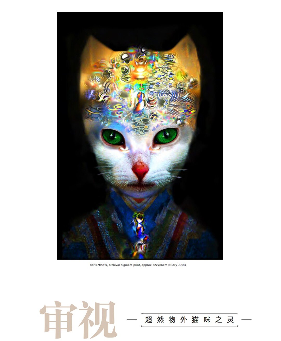 I'm honored to have my work included in one of China's leading photography magazines, 𝙋𝙝𝙤𝙩𝙤𝙜𝙧𝙖𝙥𝙝𝙚𝙧'𝙨 𝘾𝙤𝙢𝙥𝙖𝙣𝙞𝙤𝙣. The issue features images of cats from 13 artists:
The late Harry Whittier Frees 
Gerrard Gethings 
Rhiannon Buckle 