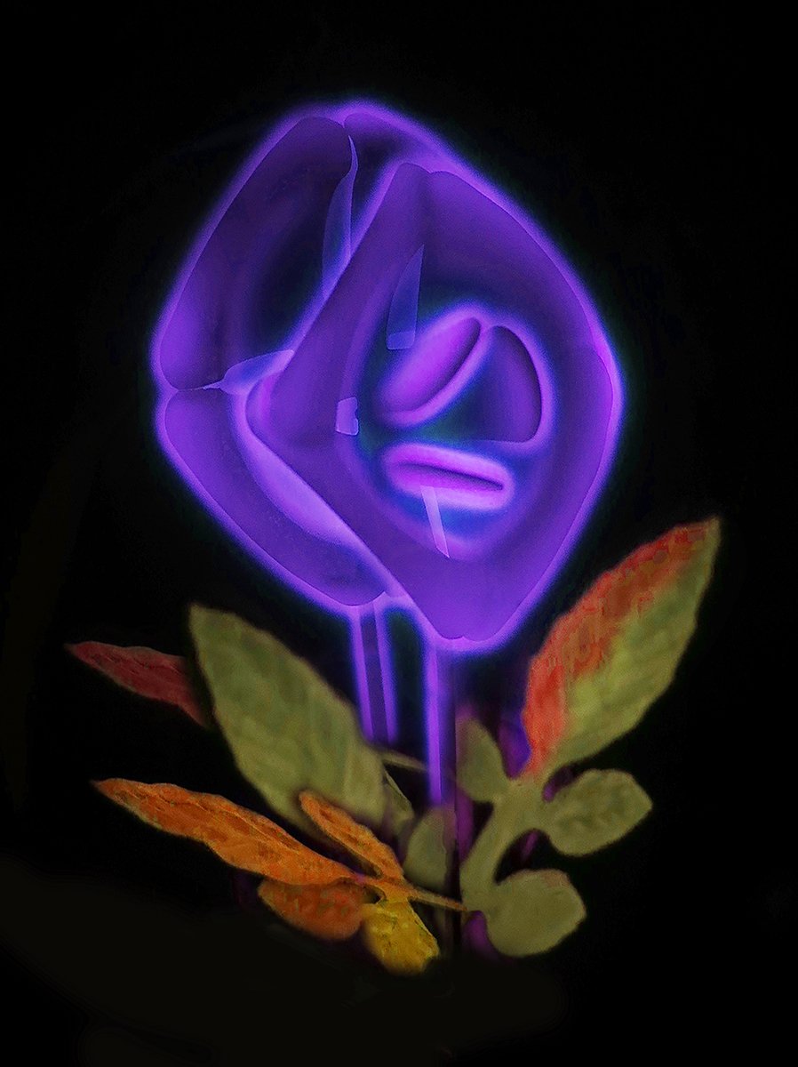 Blue Glow Rose #1