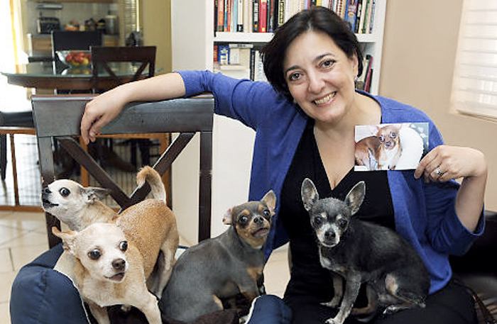 Pet Owners Struggle with Euthanasia Decision (PDF) NY Daily News