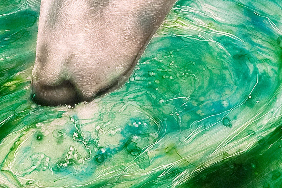 drink-deep-detail.jpg