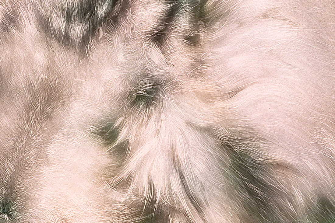 drink-deep-detail-2.jpg