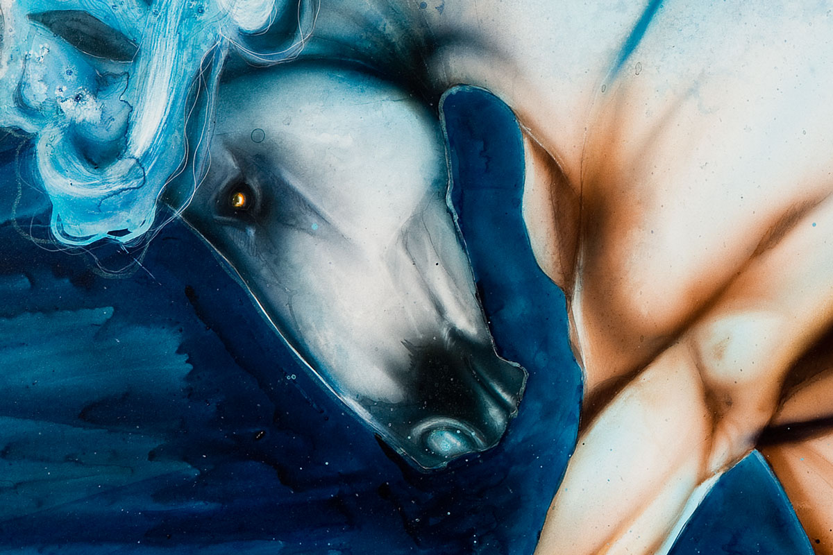 kelpie-detail.jpg