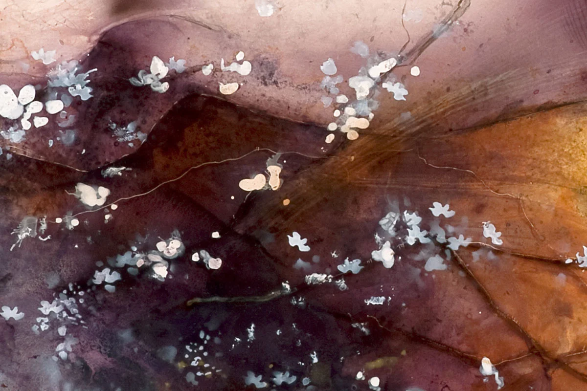 ikebana-detail.jpg