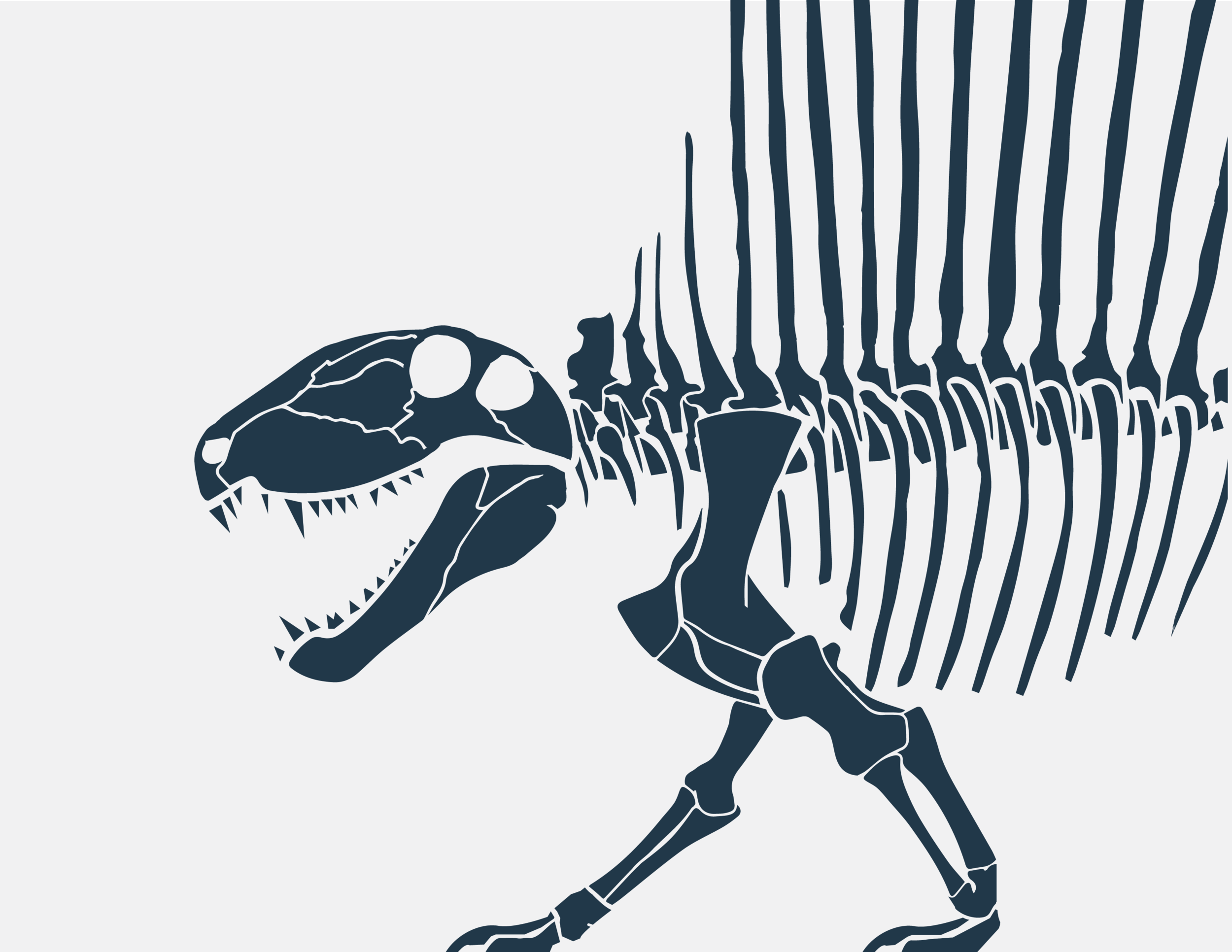 Web Banner3-01.png