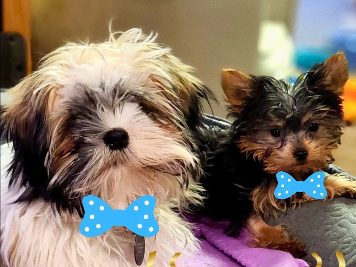 Thank you for helping us save over 1700 lives!