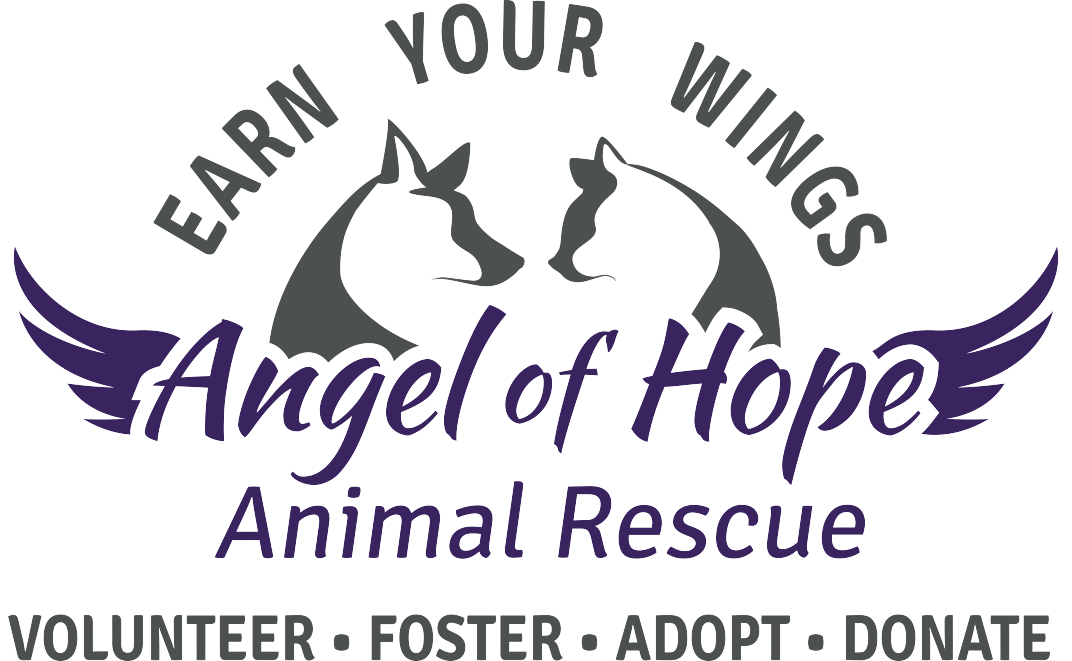 Angel of Hope Animal Rescue