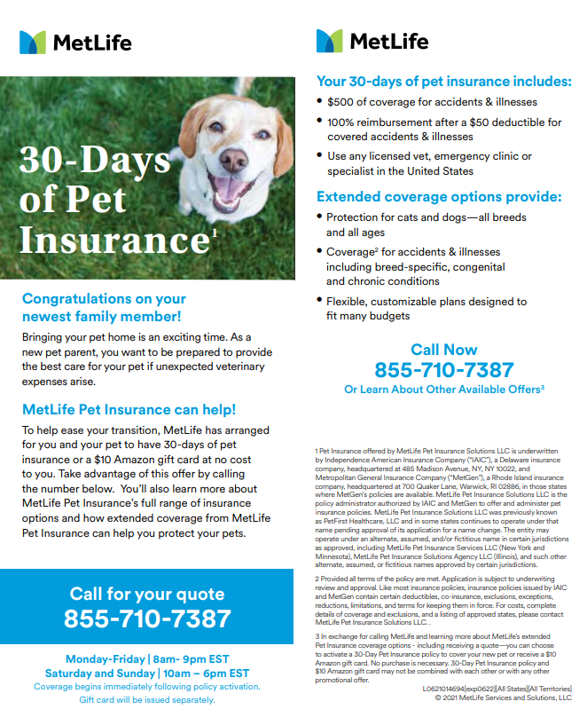 The Importance of Pet Insurance — Angel of Hope Animal Rescue