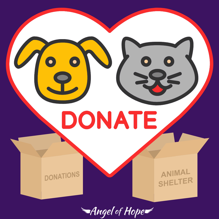 Donate — Angel of Hope Animal Rescue