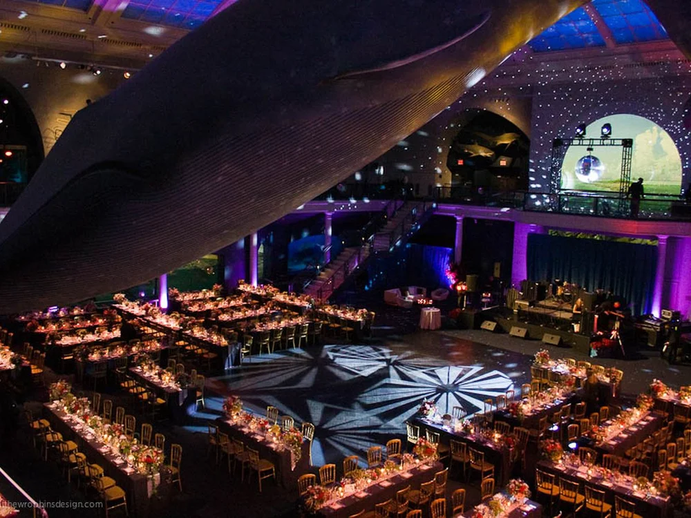 Libraries Museums More Unconventional Wedding Inspiration Downbeat