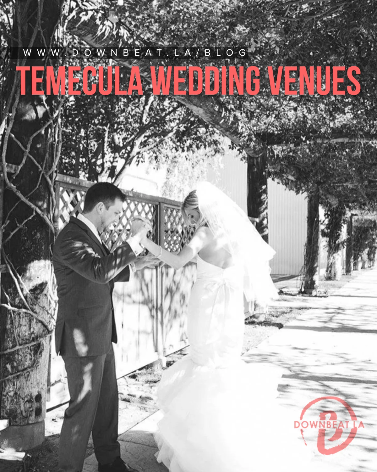 Temecula-Wedding-Venues3.jpg