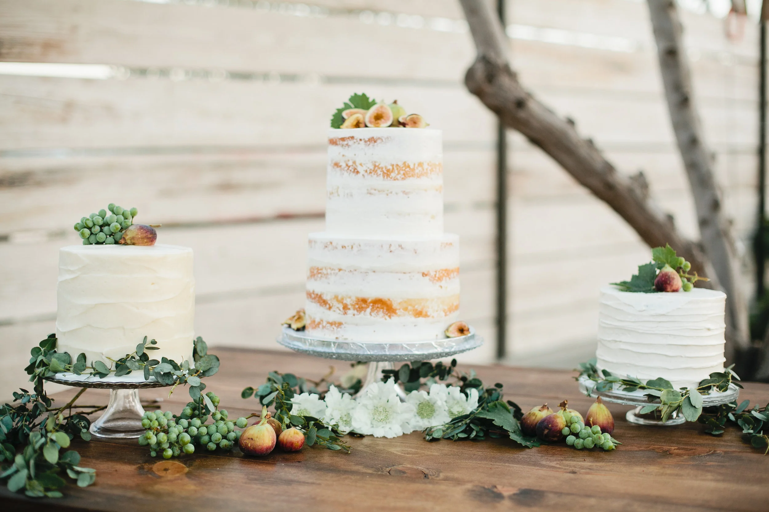 meganwelker-reception-182-2.jpg