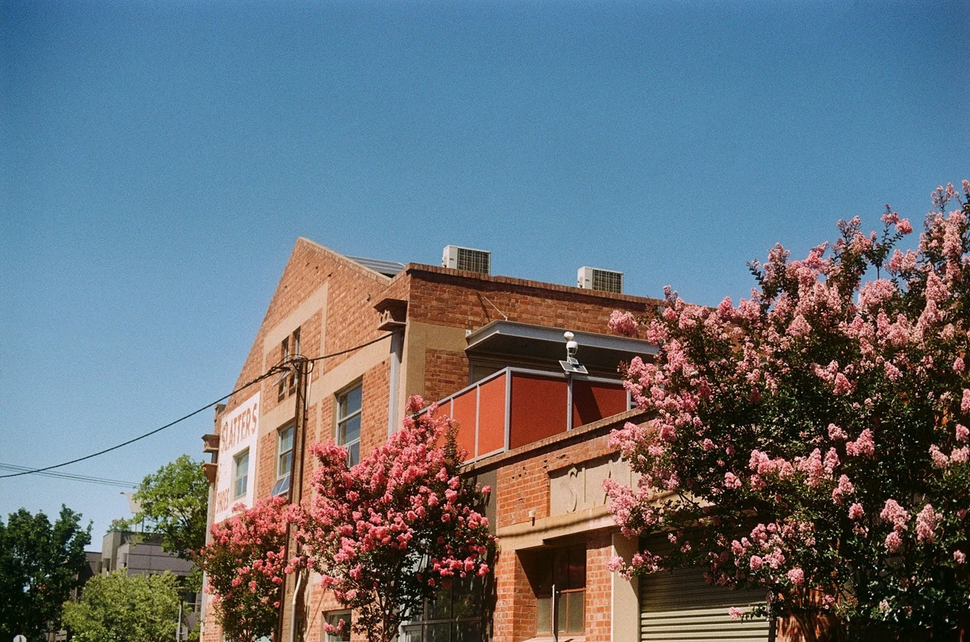 20250212_0108.jpg