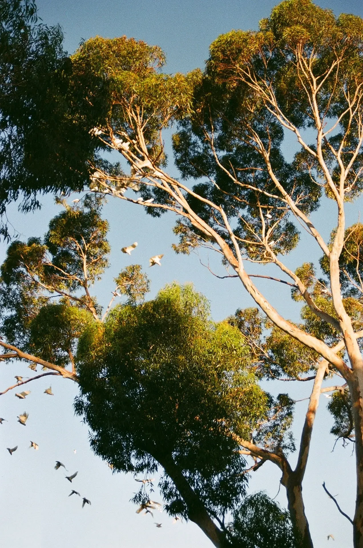 20250212_0099 2.webp