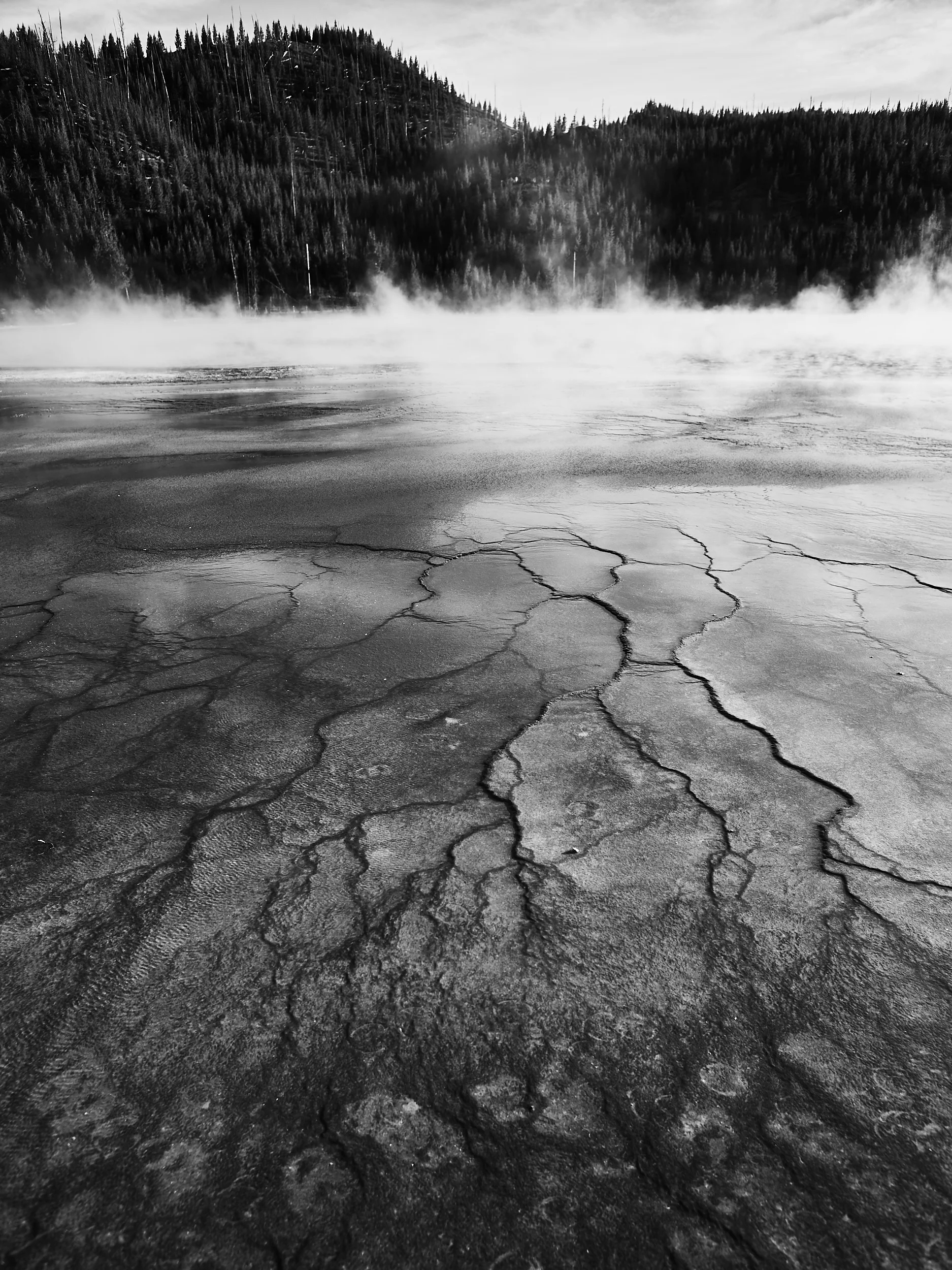 goingwest_07102018_Ryan_Noltemeyer_84_bnw_WEB.jpg