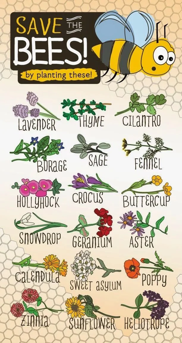 Image from beehabitat.com