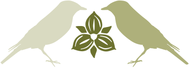 contact_bird2.png