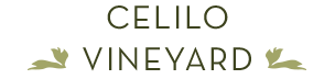 CeciloVineyard_2.png