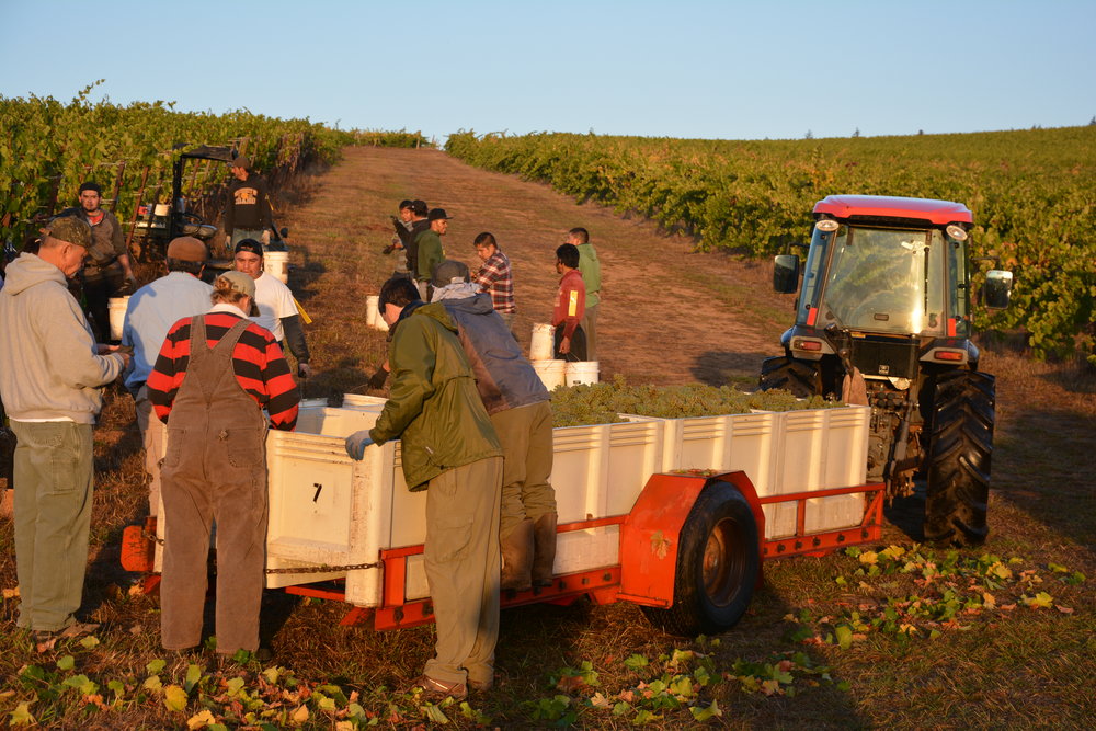 Harvest 2018