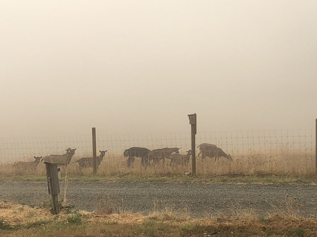  2020 Fire Season Seen From the Willamette Valley 