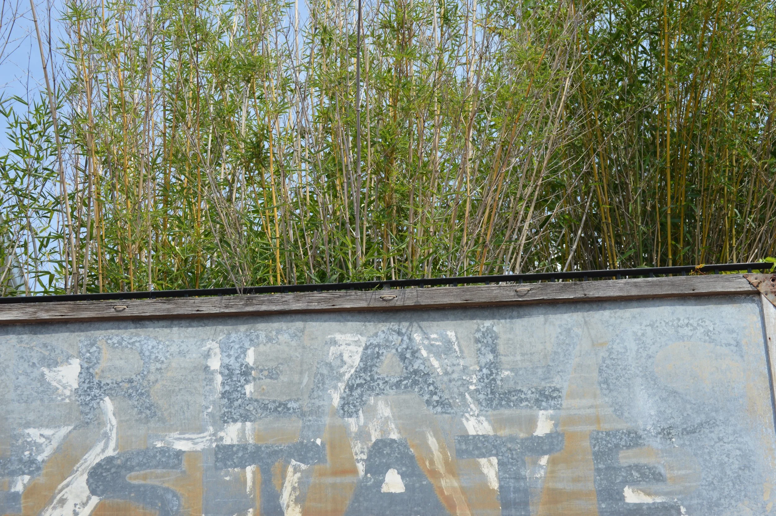 DSC_0852.jpg
