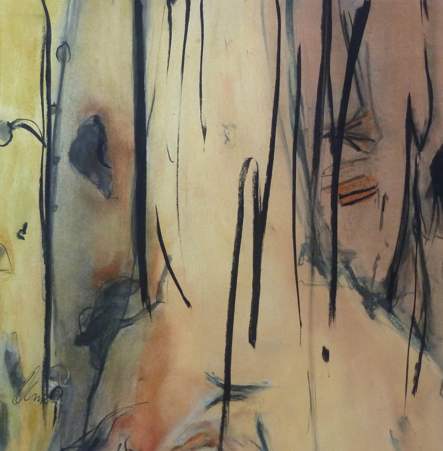 Irma Denk, Vine , 2016, charcoal and pastel on paper, 78 x 83cm.