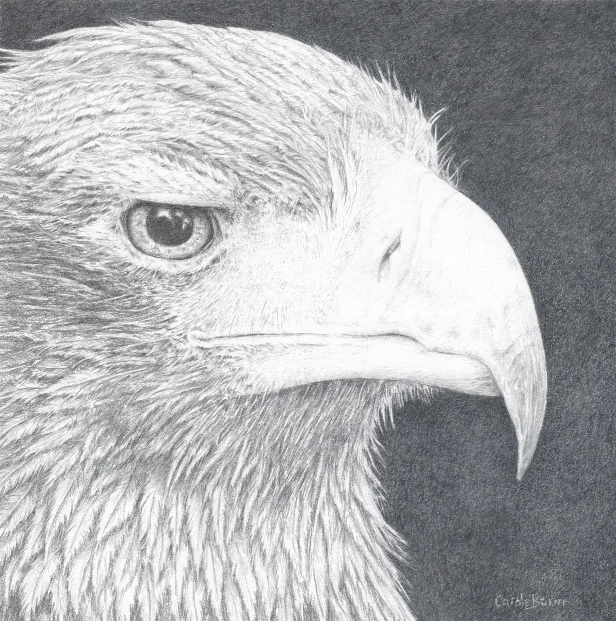 Carole Bann, Eagle, 2015, 24ct gold and silver, 20.5x38cm.jpg