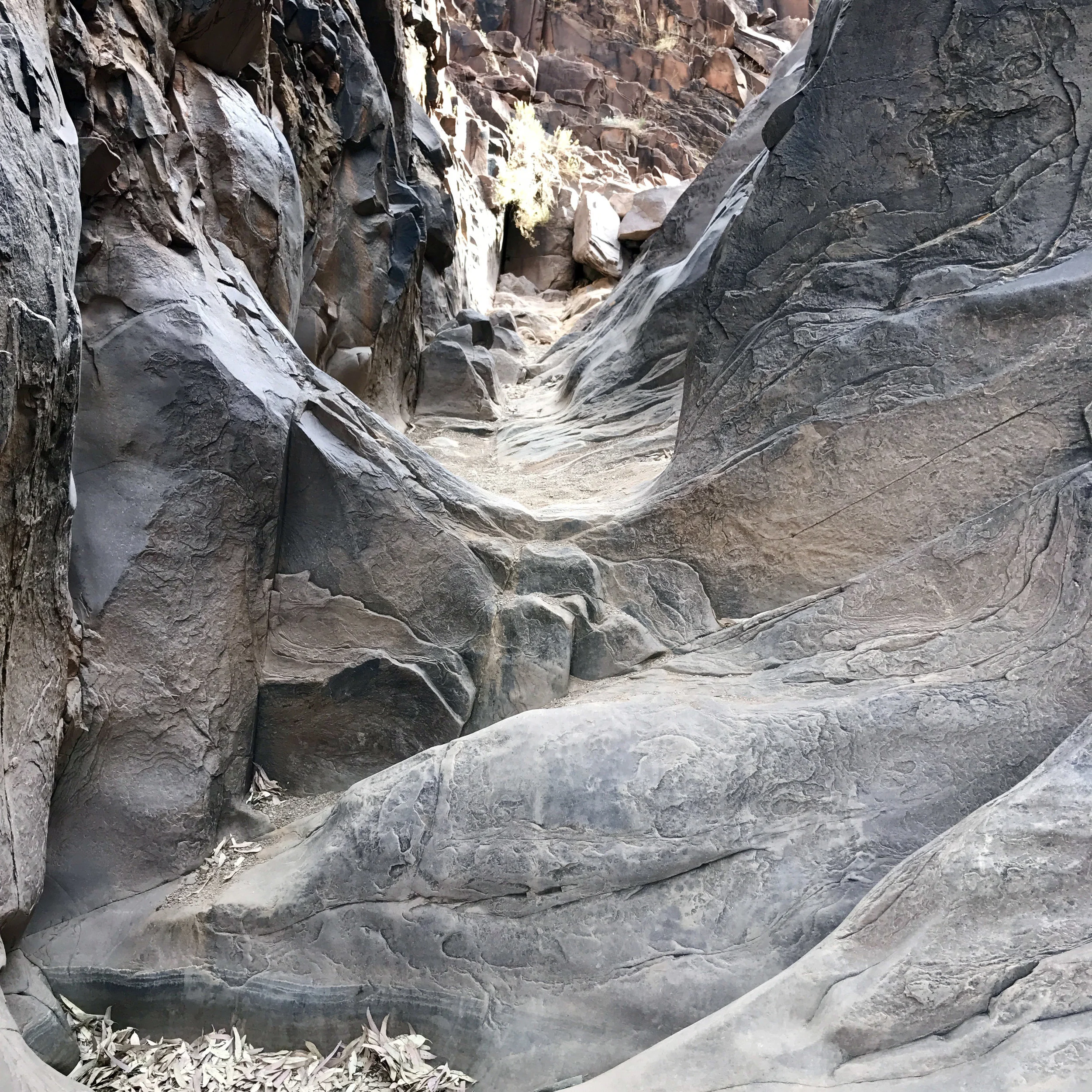 image12.jpg