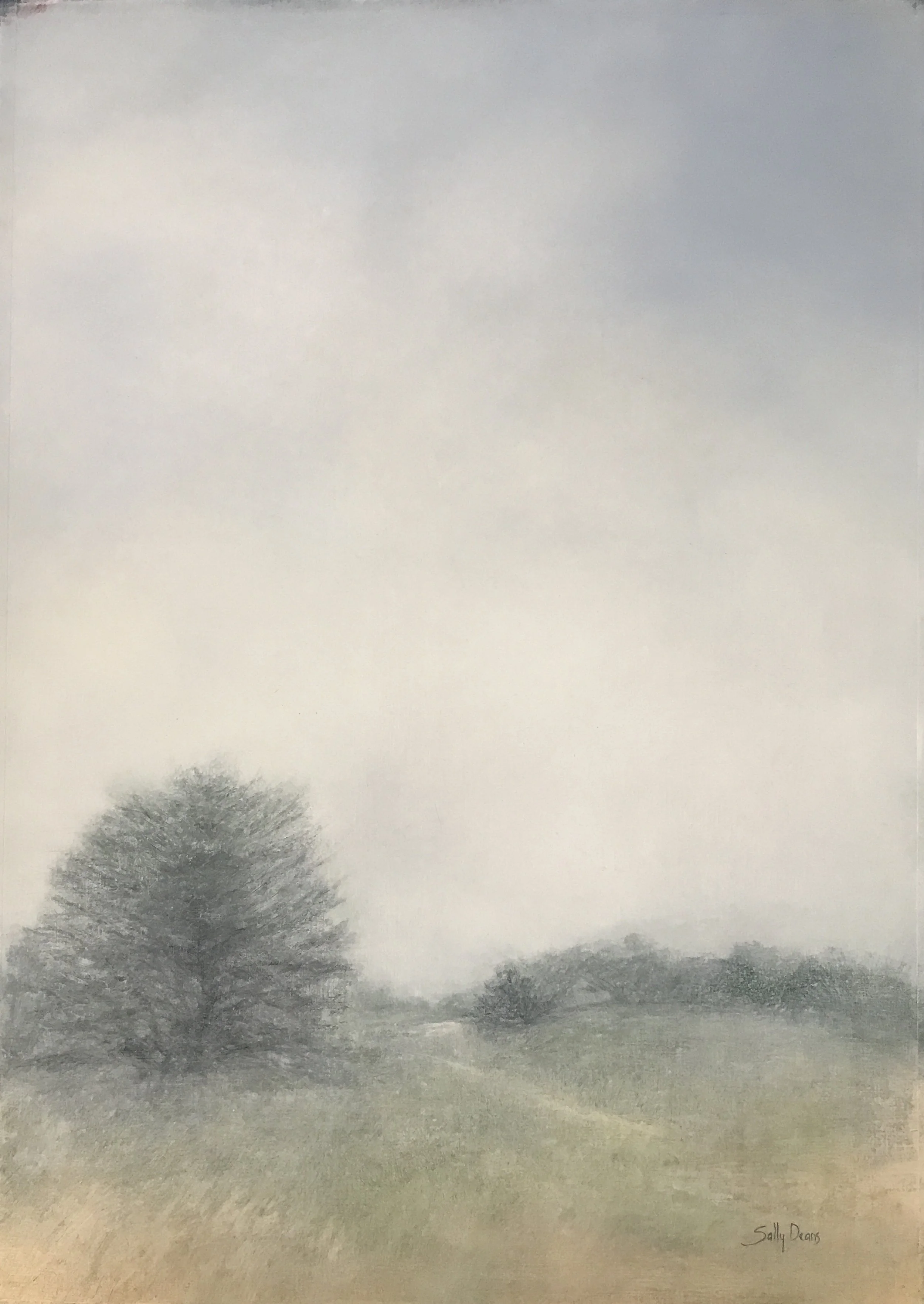  Sally Deans,&nbsp; Seasons of Mists - in the Pines , 2017, oil on paper, 105 x 80cm 