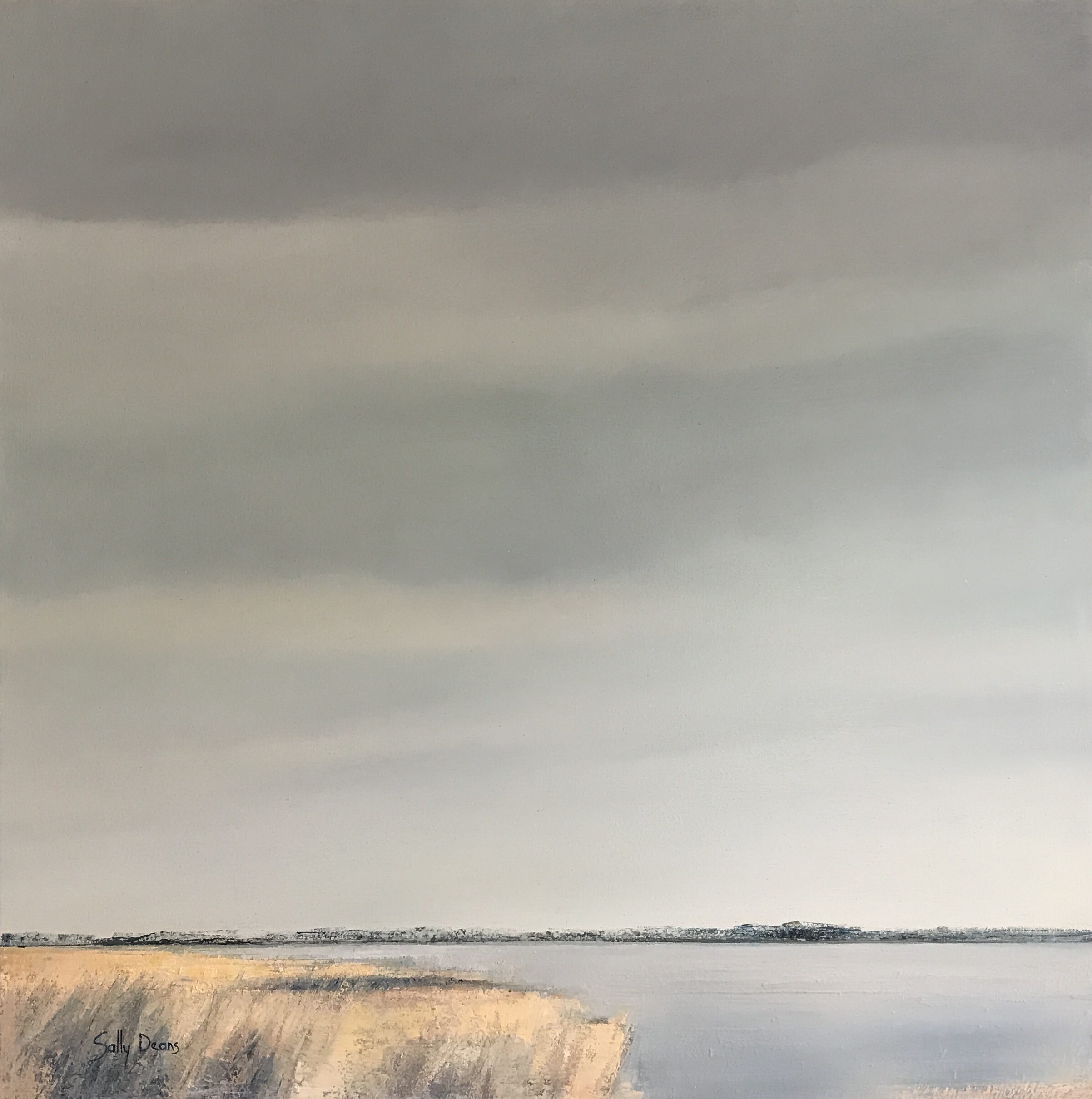  Sally Deans,&nbsp; May Afternoon in Silver and Gold , 2017, oil on canvas, 78 x 78cm 