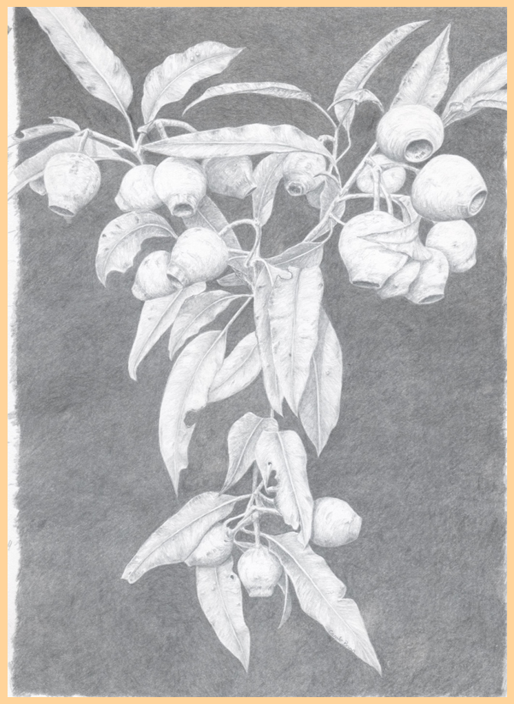 Drawing with Precious Metals Workshop with Carole Bann