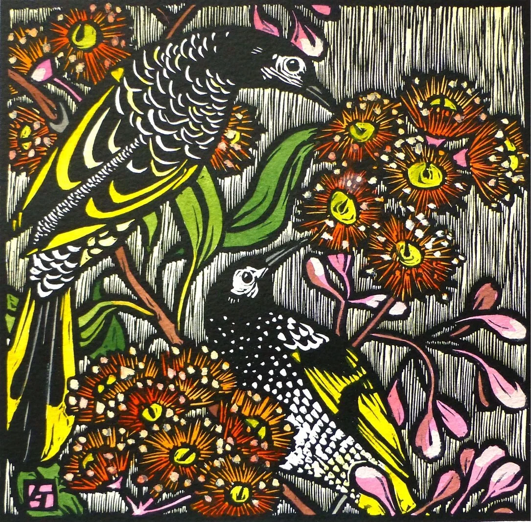 Regent Honeyeaters website.jpg