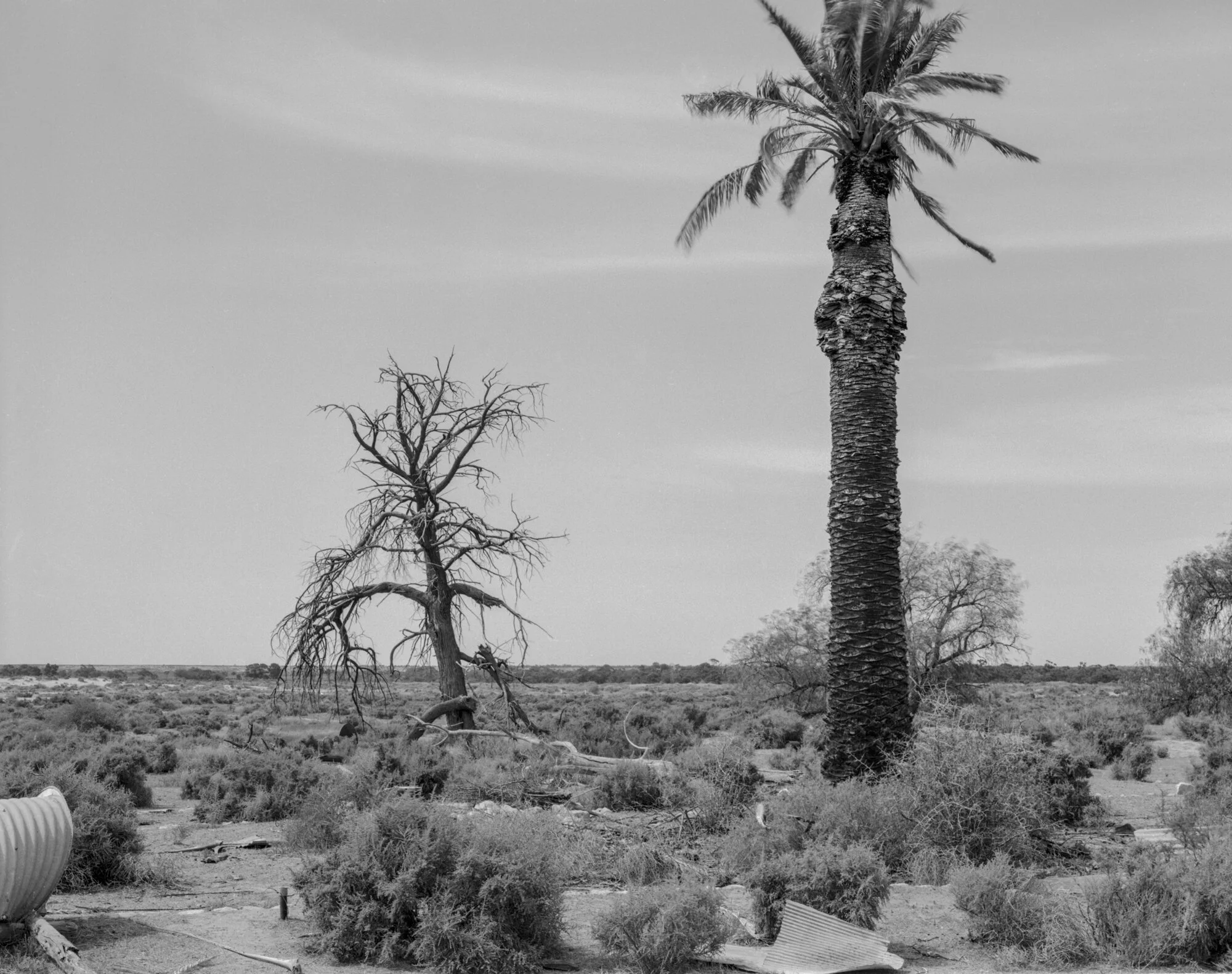 Image: Stuart Murdoch  Arumpo Road, NSW 1996 , inch inkjet print from a scanned negative, 20 x 24in.