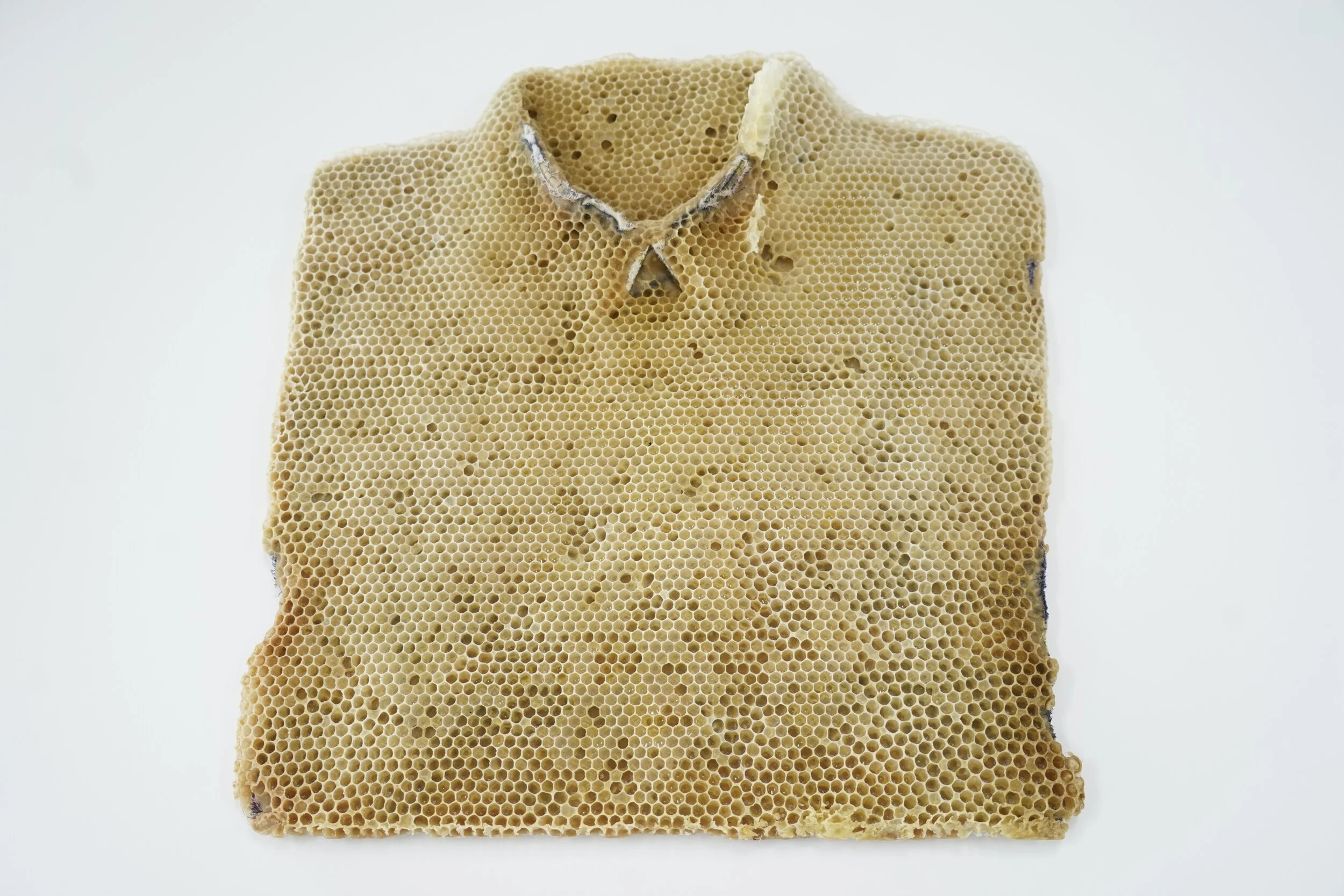 Franz Ehmann,  Fourteen Days , 2018, beeswax on cotton shirts with resin buttons, four works approximately 41 x 46 x 70 cm each. Photograph by Andrea Higgins. Image courtesy of the artist.