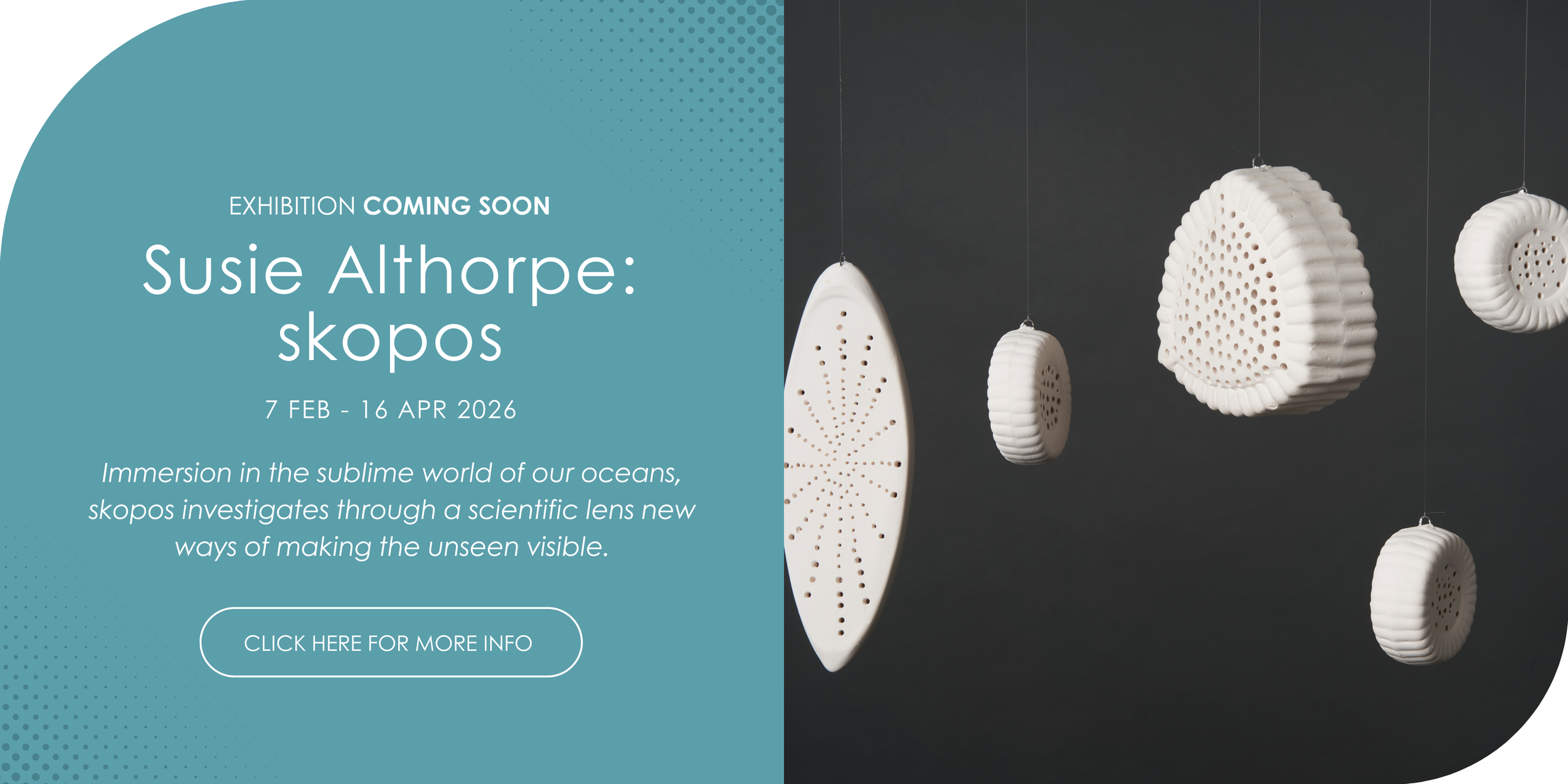 Website banner.png