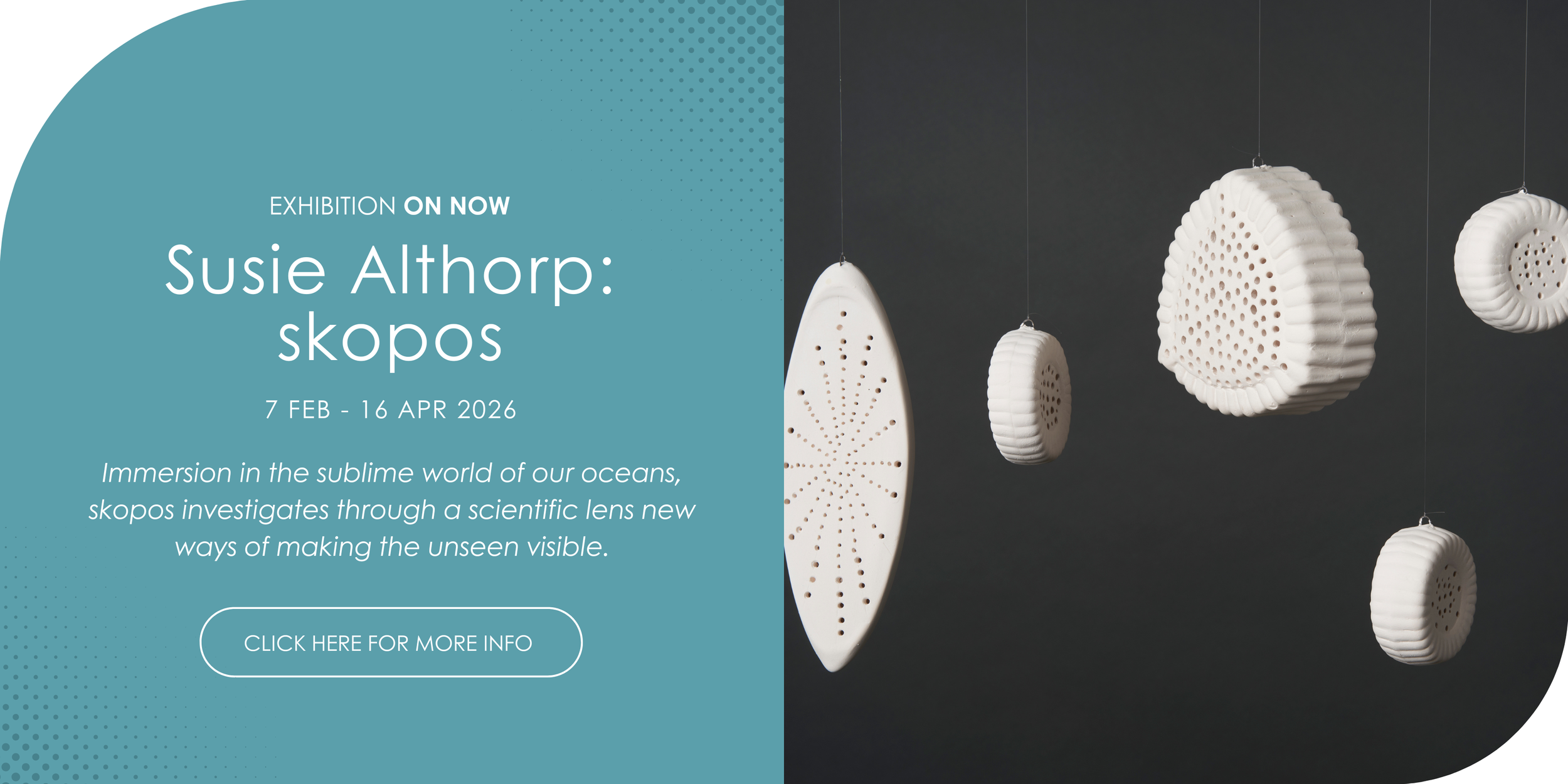 Website banner (3).png