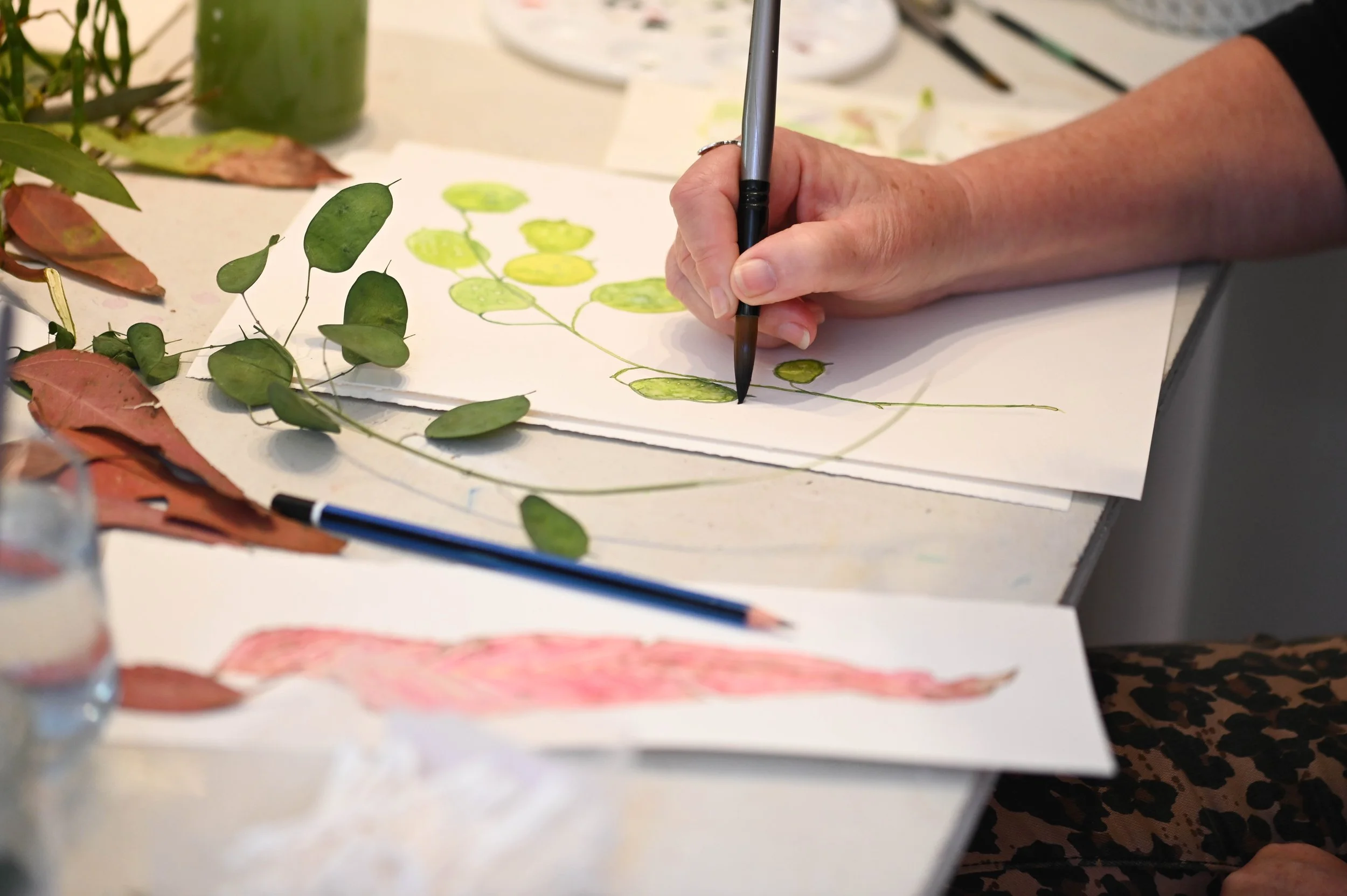 Botanical Art Workshop with Donna Gordge