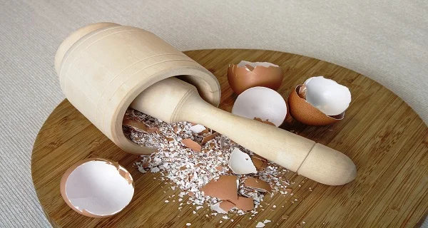 Eggciting Egg Shells Homegrown