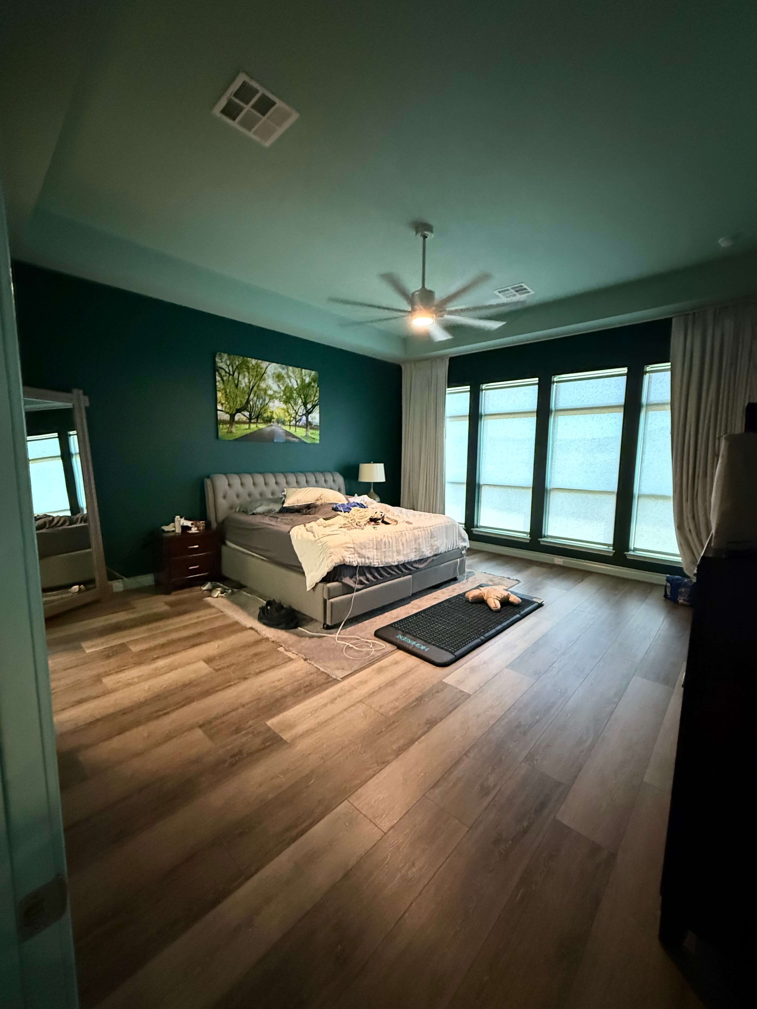 Austin-home-design-organization-tarrytown-mueller-hyde-park-barton-hills-lost-creek-atx-tx (14).jpg