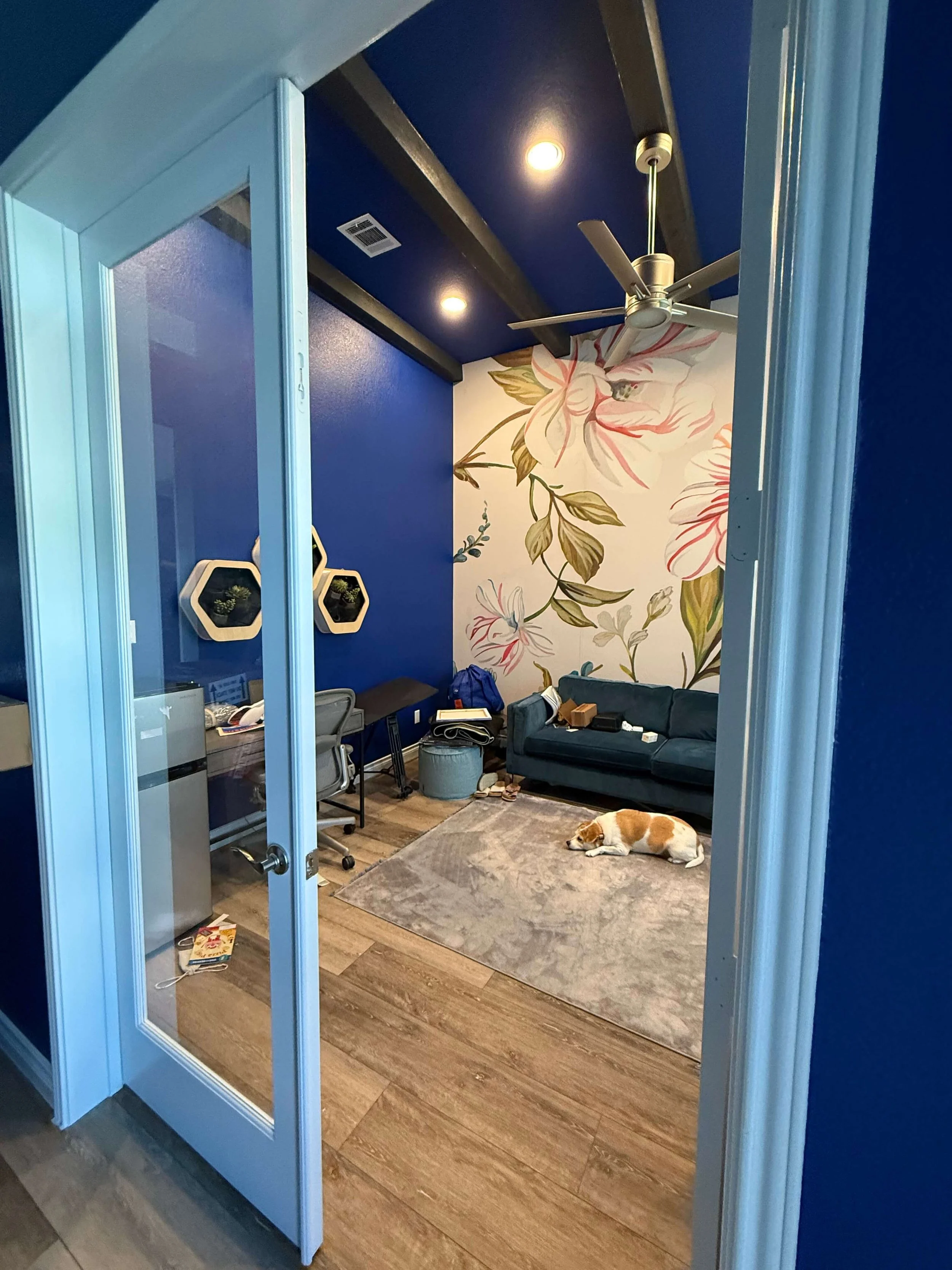 Austin-home-design-organization-tarrytown-mueller-hyde-park-barton-hills-lost-creek-atx-tx (2).jpg