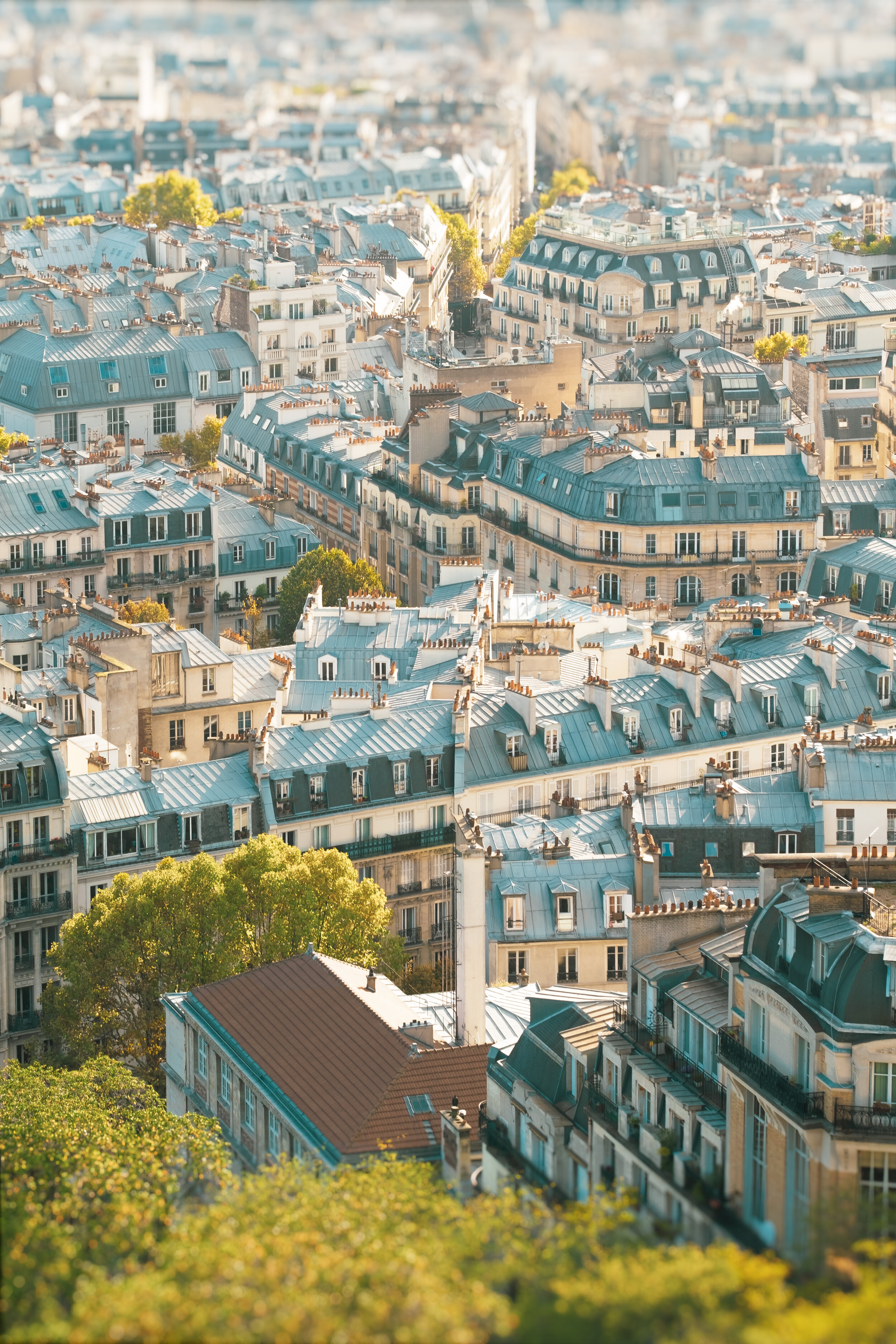 PARIS FROM ABOVE