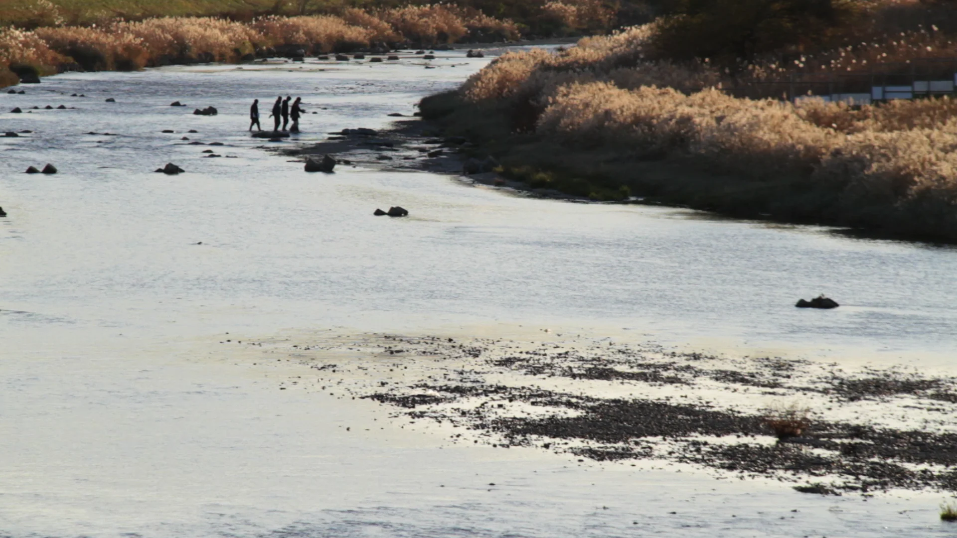 MVI_9469 のコピー.jpg