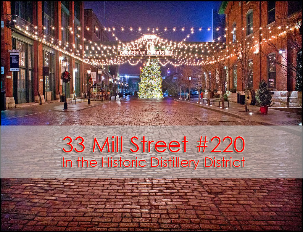 33 Mill Street 220 - Distillery District - Christmas Market Picture copy.jpg