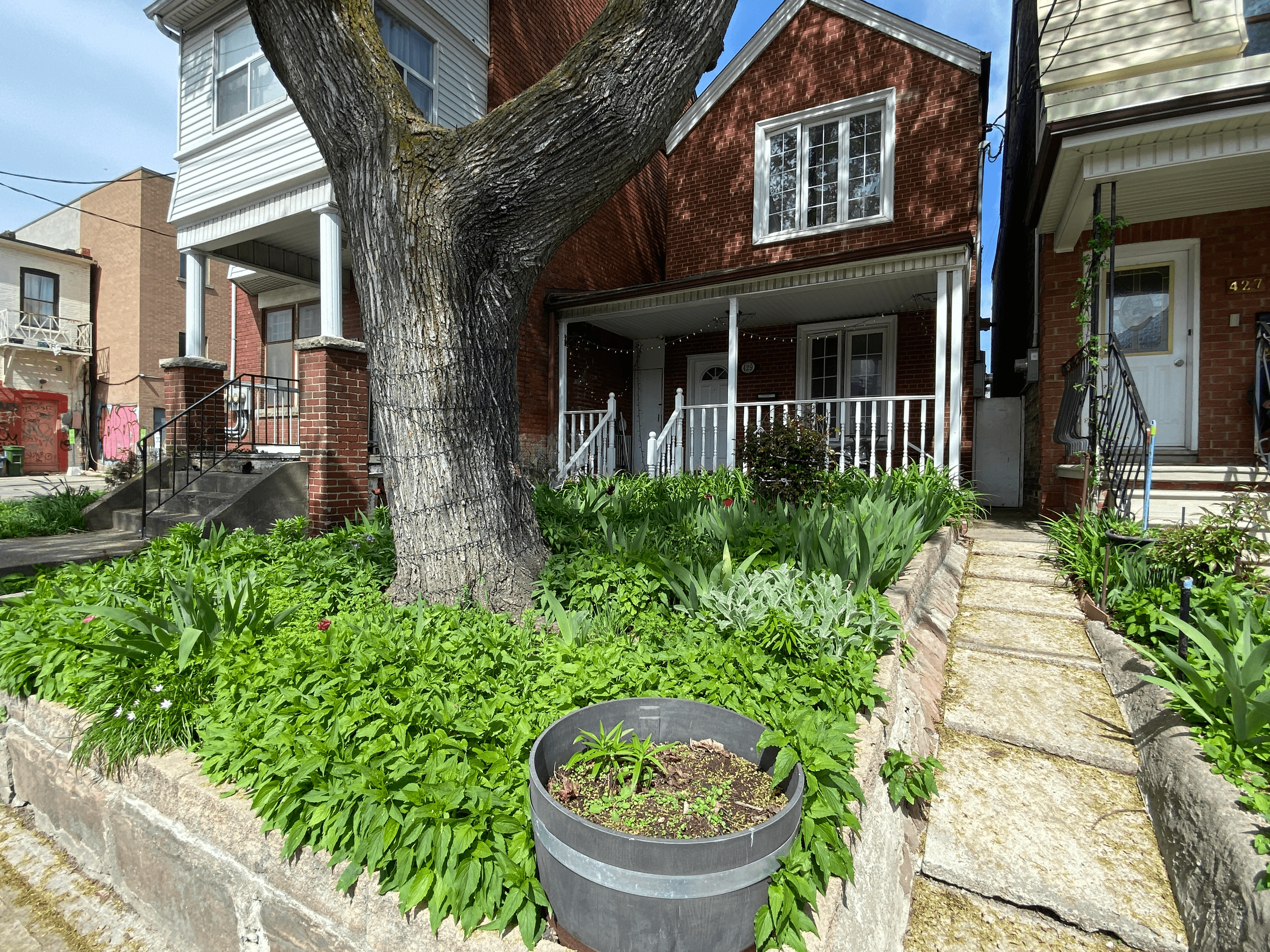 FOR LEASE: 429 Ossington Avenue #Main