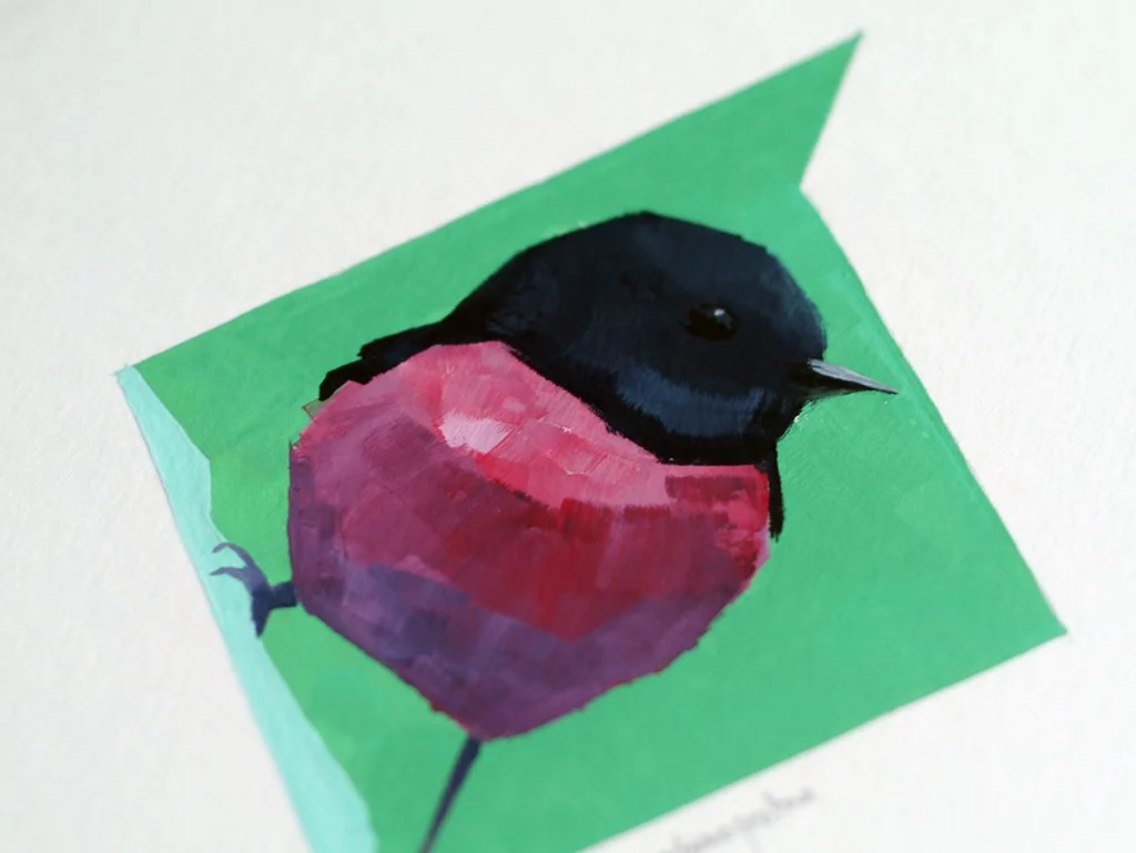 Petroica rodinogaster_02.JPG