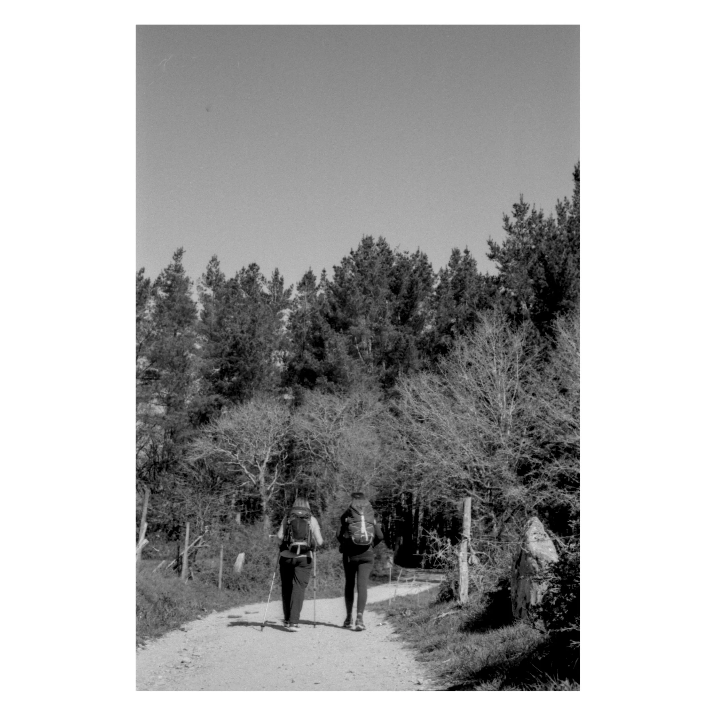 raw0012_exp.jpg