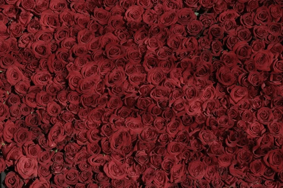 Love is in the air...