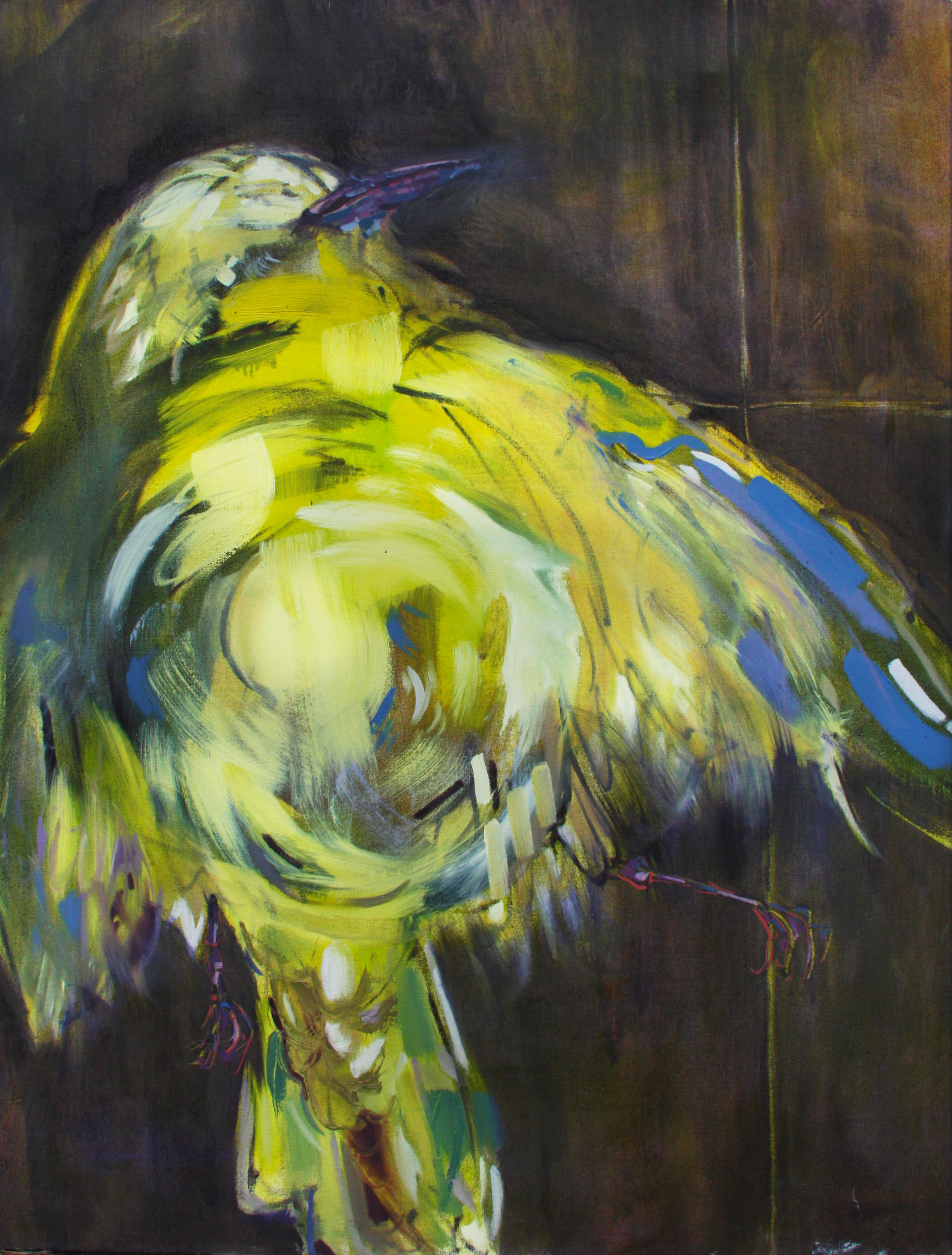   Yellow Finch  (2012) oil on canvas 48" x 36"    