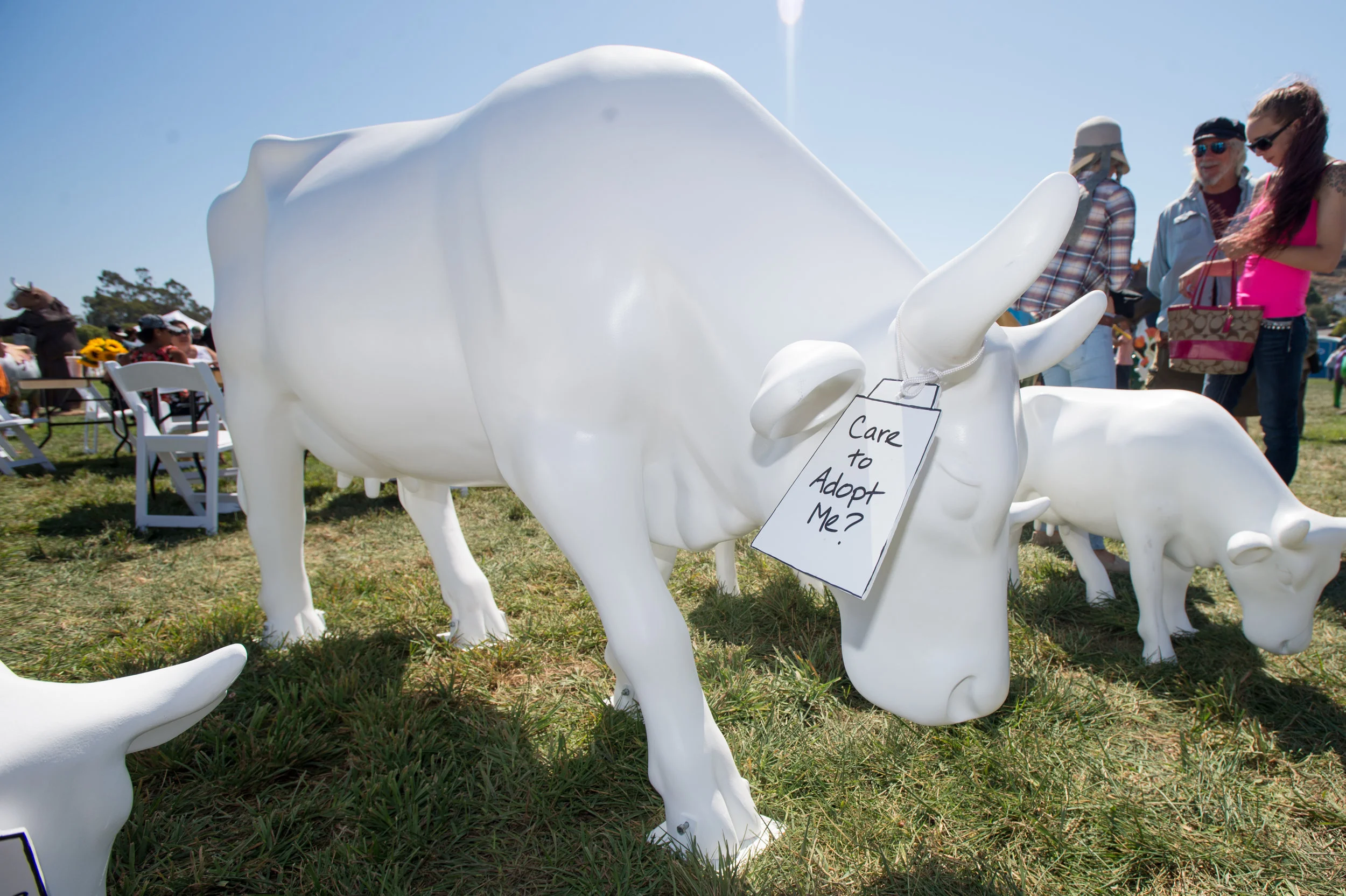 CowParade-6.jpg
